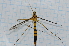  ( - T3404)  @11 [ ] CreativeCommons - Attribution Non-Commercial Share-Alike (2014) Zacariah Billingham Unspecified