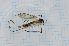  ( - T5630)  @11 [ ] CreativeCommons - Attribution Non-Commercial Share-Alike (2014) Zacariah Billingham Unspecified