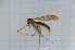  ( - T5636)  @11 [ ] CreativeCommons - Attribution Non-Commercial Share-Alike (2014) Zacariah Billingham Unspecified