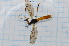  ( - T5668)  @11 [ ] CreativeCommons - Attribution Non-Commercial Share-Alike (2014) Zacariah Billingham Unspecified