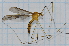  ( - T5893)  @11 [ ] CreativeCommons - Attribution Non-Commercial Share-Alike (2014) Zacariah Billingham Unspecified