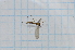  ( - T5921)  @11 [ ] CreativeCommons - Attribution Non-Commercial Share-Alike (2014) Zacariah Billingham Unspecified