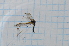  ( - T5957)  @11 [ ] CreativeCommons - Attribution Non-Commercial Share-Alike (2014) Zacariah Billingham Unspecified