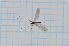  ( - T6219)  @11 [ ] CreativeCommons - Attribution Non-Commercial Share-Alike (2014) Zacariah Billingham Unspecified