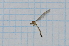  ( - T6286)  @11 [ ] CreativeCommons - Attribution Non-Commercial Share-Alike (2014) Zacariah Billingham Unspecified