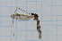  ( - T6572)  @11 [ ] CreativeCommons - Attribution Non-Commercial Share-Alike (2014) Zacariah Billingham Unspecified