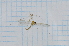  ( - T6591)  @11 [ ] CreativeCommons - Attribution Non-Commercial Share-Alike (2014) Zacariah Billingham Unspecified