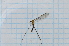  ( - T6599)  @11 [ ] CreativeCommons - Attribution Non-Commercial Share-Alike (2014) Zacariah Billingham Unspecified