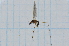  ( - T7563)  @11 [ ] CreativeCommons - Attribution Non-Commercial Share-Alike (2014) Zacariah Billingham Unspecified