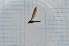  ( - ZBT562)  @11 [ ] CreativeCommons - Attribution Non-Commercial Share-Alike (2014) Zacariah Billingham Unspecified