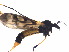  ( - T12)  @13 [ ] Unspecified (default): All Rights Reserved  Unspecified Unspecified