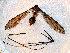  ( - T27)  @12 [ ] CreativeCommons - Attribution Non-Commercial Share-Alike (2011) Ivor Growns University of New England