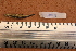  ( - 1044_TOC)  @11 [ ] CreativeCommons Attribution (by) (2023) Unspecified Instituto Nacional de Pesquisas da Amazonia (INPA)