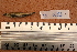  ( - 1053_TOC)  @11 [ ] CreativeCommons Attribution (by) (2023) Unspecified Instituto Nacional de Pesquisas da Amazonia (INPA)