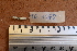  ( - 1078_TOC)  @11 [ ] CreativeCommons Attribution (by) (2023) Unspecified Instituto Nacional de Pesquisas da Amazonia (INPA)