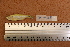  ( - 1128_TOC)  @11 [ ] CreativeCommons Attribution (by) (2023) Unspecified Instituto Nacional de Pesquisas da Amazonia (INPA)