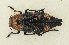  ( - TNi01)  @11 [ ] CreativeCommons  Attribution (2024) Wataru Toki Nagoya University