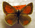  ( - DNAChuTomares 006)  @12 [ ] Copyright (2009) Unspecified Unspecified