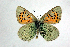  ( - DNAwthTomares 033.1)  @14 [ ] Copyright (2009) Unspecified Unspecified