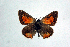 ( - DNAwthTomares 041.1)  @14 [ ] Copyright (2009) Unspecified Unspecified