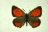  ( - DNAzmaTomares 146)  @14 [ ] Copyright (2009) Unspecified Unspecified