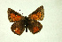  ( - DNAzmaTomares 149)  @14 [ ] Copyright (2009) Unspecified Unspecified