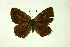  ( - DNAzmaTomares 151)  @14 [ ] Copyright (2009) Unspecified Unspecified