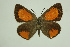  ( - DNAwthTomares 107)  @14 [ ] Copyright (2009) Unspecified Unspecified