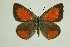  ( - DNAwthTomares 108)  @14 [ ] Copyright (2009) Unspecified Unspecified