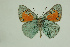  ( - DNAwthTomares 109)  @14 [ ] Copyright (2009) Unspecified Unspecified