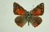  ( - DNAwthTomares 110)  @14 [ ] Copyright (2009) Unspecified Unspecified