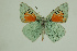  ( - DNAwthTomares 110)  @14 [ ] Copyright (2009) Unspecified Unspecified