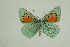  ( - DNAwthTomares 112)  @14 [ ] Copyright (2009) Unspecified Unspecified
