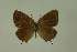  ( - DNAwthTomares 351)  @13 [ ] Copyright (2011) Wolfgang ten Hagen Wolfgang ten Hagen Research Collection