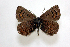  ( - DNAwthTomares 030)  @13 [ ] Copyright (2009) Unspecified Unspecified