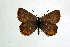 ( - DNAwthTomares 031)  @14 [ ] Copyright (2009) Unspecified Unspecified