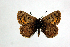  ( - DNAwthTomares 031)  @14 [ ] Copyright (2009) Unspecified Unspecified