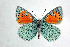  ( - DNAwthTomares 039)  @15 [ ] Copyright (2009) Unspecified Unspecified