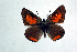  ( - DNAwthTomares 092)  @14 [ ] Copyright (2009) Unspecified Unspecified