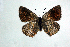  ( - DNAwthTomares 093)  @14 [ ] Copyright (2009) Unspecified Unspecified