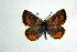  ( - DNAwthTomares 016)  @13 [ ] Copyright (2009) Unspecified Unspecified