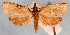  ( - JWB-08-0141)  @13 [ ] CreativeCommons - Attribution (2010) Unspecified Centre for Biodiversity Genomics