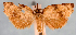  ( - JWB-08-0143)  @12 [ ] CreativeCommons - Attribution (2010) Unspecified Centre for Biodiversity Genomics