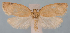  (Argyrotaenia lautana - JWB-08-0160)  @13 [ ] CreativeCommons - Attribution (2010) Unspecified Centre for Biodiversity Genomics