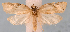  ( - JWB-08-0163)  @13 [ ] CreativeCommons - Attribution (2010) Unspecified Centre for Biodiversity Genomics