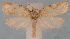 ( - JWB-08-0164)  @14 [ ] CreativeCommons - Attribution (2010) Unspecified Centre for Biodiversity Genomics