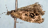 ( - JWB-08-0170)  @13 [ ] CreativeCommons - Attribution (2010) Unspecified Centre for Biodiversity Genomics