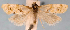  ( - JWB-08-0171)  @13 [ ] CreativeCommons - Attribution (2010) Unspecified Centre for Biodiversity Genomics