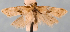  ( - JWB-08-0172)  @13 [ ] CreativeCommons - Attribution (2010) Unspecified Centre for Biodiversity Genomics