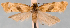  ( - JWB-08-0173)  @13 [ ] CreativeCommons - Attribution (2010) Unspecified Centre for Biodiversity Genomics